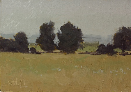 Oil sketch of trees and the front fields at Meadow Grove Farm in Bluemont, VA.